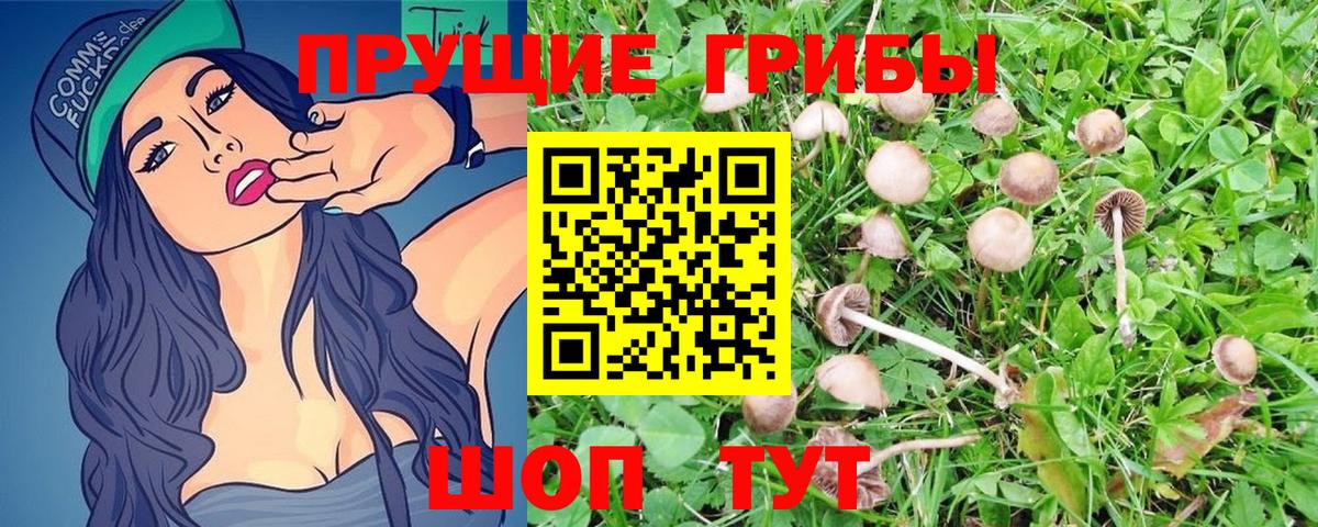 Россошь  Галлюциногенные грибы MAGIC MUSHROOMS  Вход с VPN 