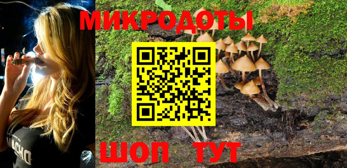 Галлюциногенные грибы мицелий Россошь