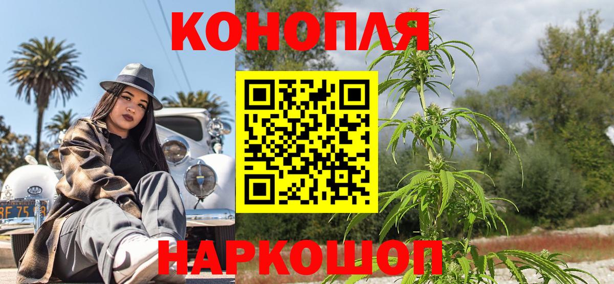 Конопля гибрид Россошь